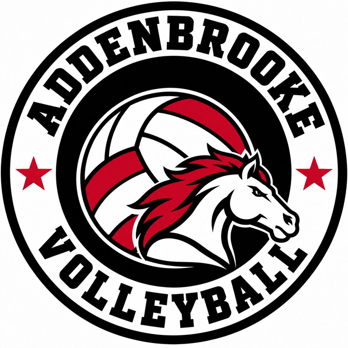Addenbrooke Volleyball iron-on patch — artwork preview